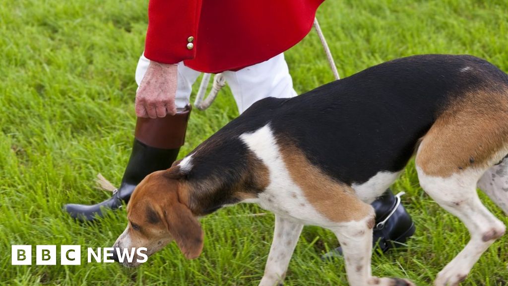 Dartmoor fox hunt: Men cleared of hunting fox