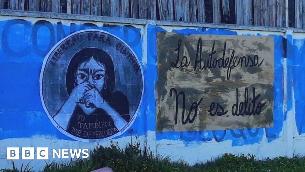 ‘I’d Defend Myself, Too’: Chileans back abuse survivors