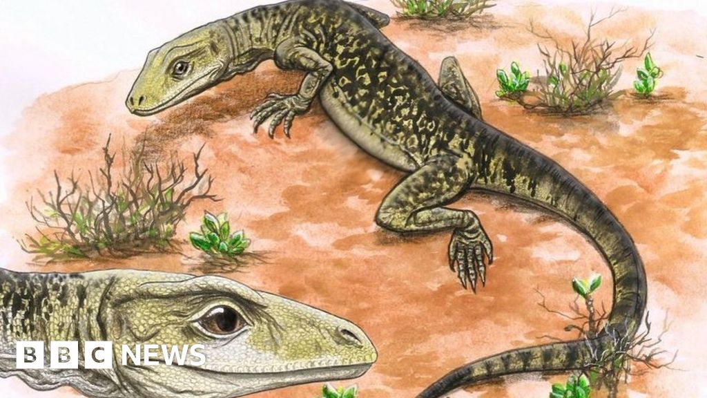 Bristol: Fossil shows lizards millions of years older than thought