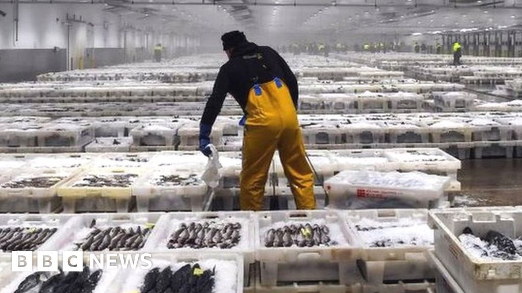 Will technology silence the shout auction at Peterhead fish market?