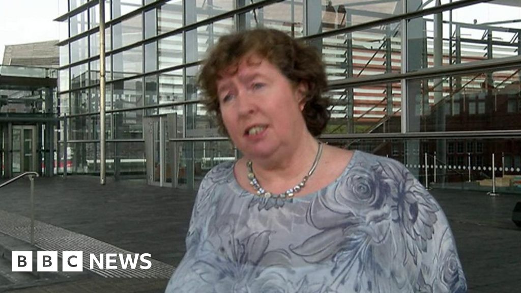 This Is A Very Difficult Situation, Says New Plaid Cymru AM - BBC News