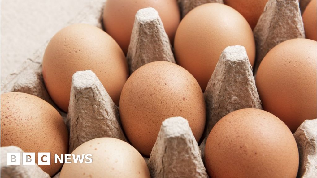 Asda, Lidl, Tesco and Sainsbury's ration or start to run out of eggs as  shortages hit the shelves - Wales Online