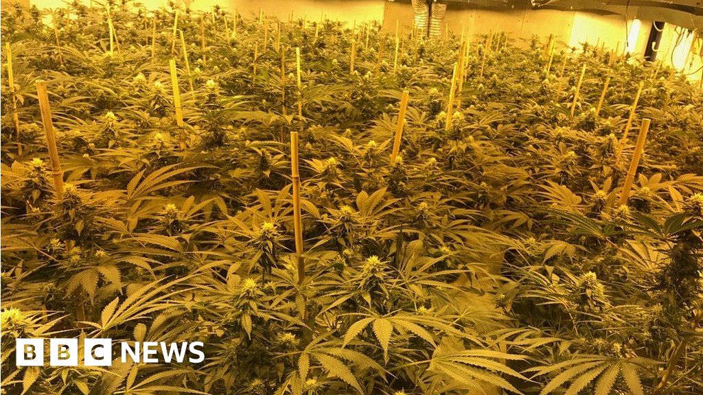 Nuclear bunker raid finds £1m cannabis farm