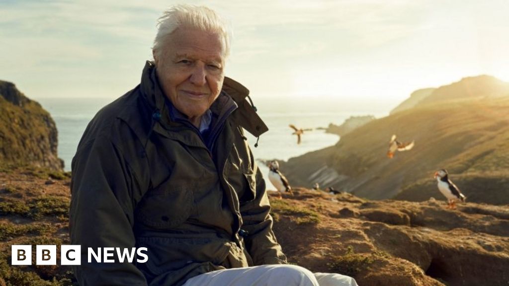 Seria Davida Attenborough przedstawia dziką przyrodę NI