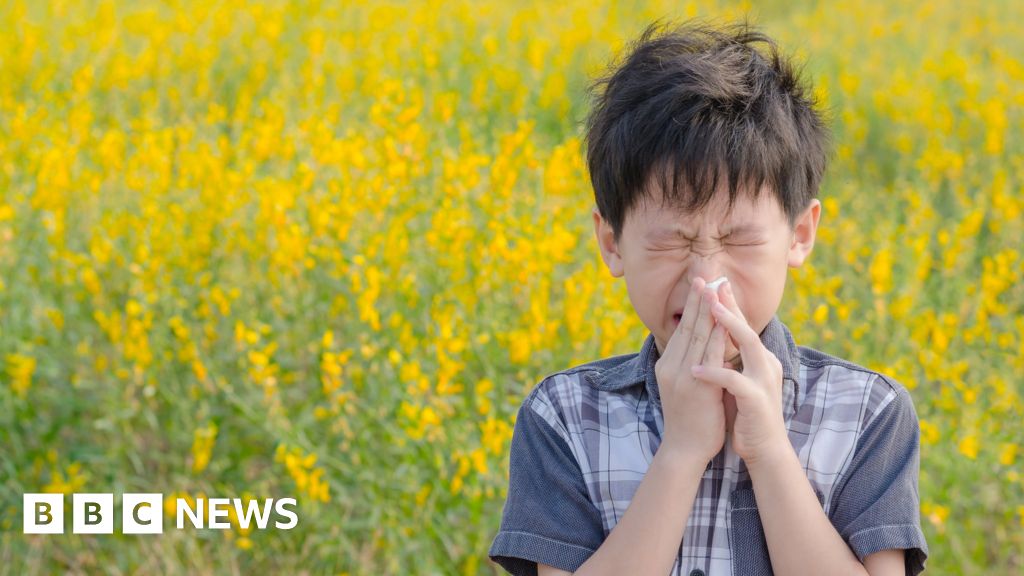 is-hay-fever-getting-worse-in-the-uk