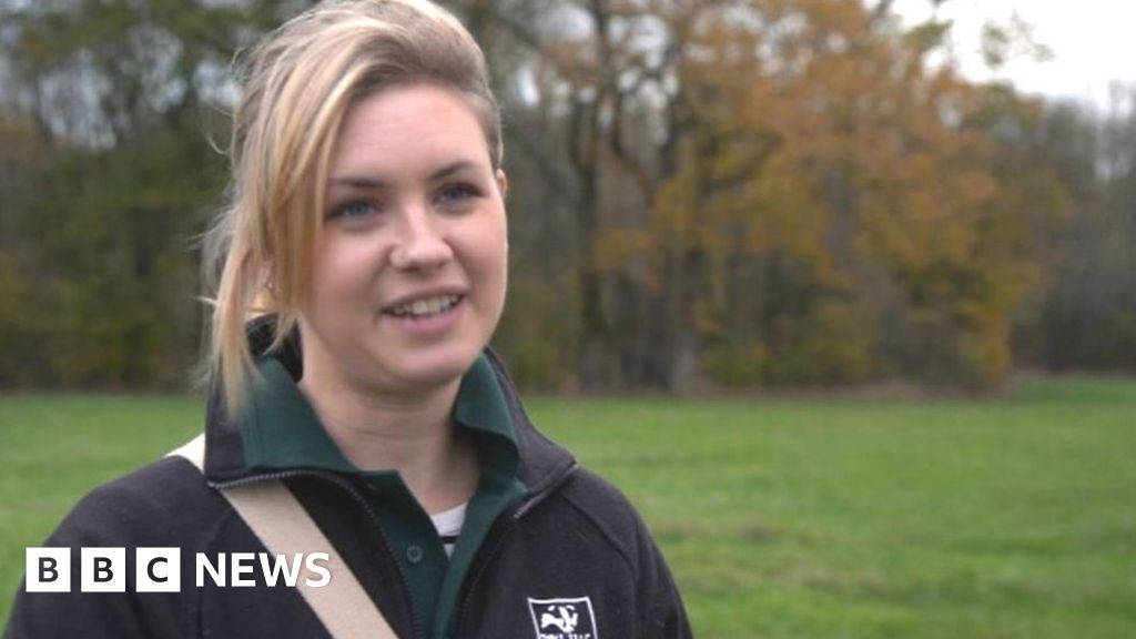 Wildlife trust buys farm at Monkwood to boost habitats - BBC News