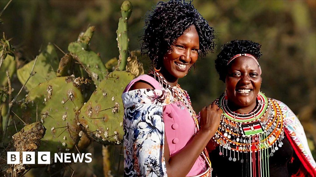 Kenya: How Twala women in Laikipia have turned a cactus into biogas profit