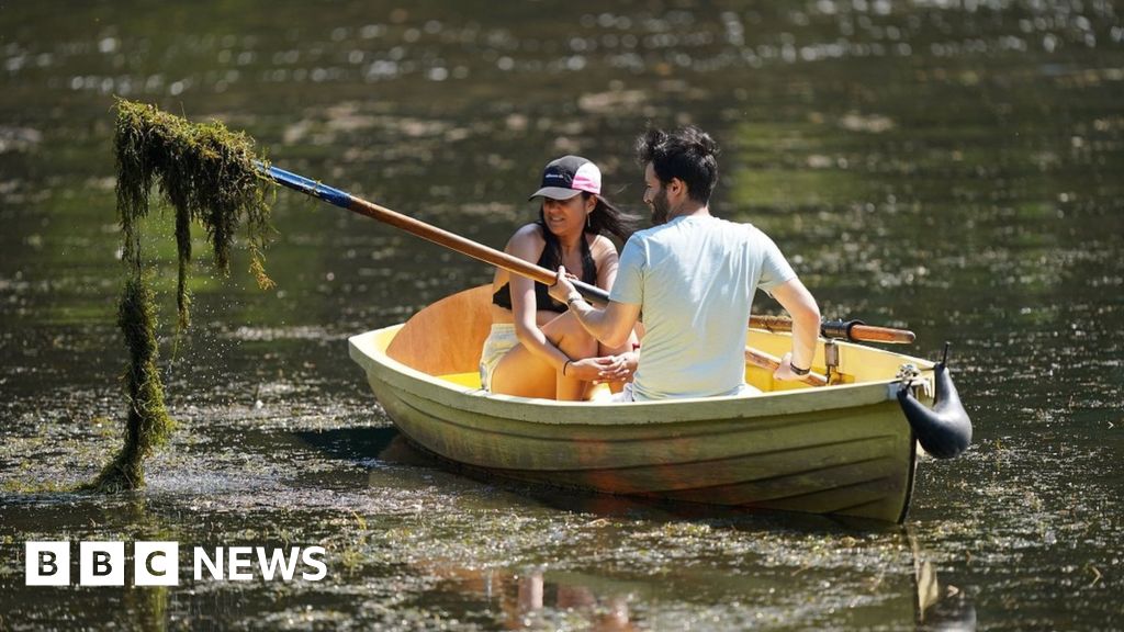 Cea mai fierbinte lună iunie ucide peștii din Marea Britanie și amenință insectele