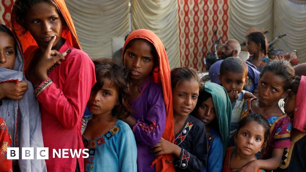 Pakistan floods: International donors pledge over $9bn