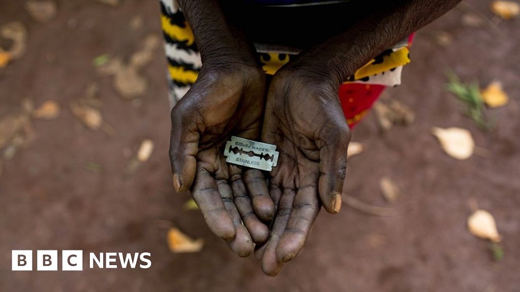 Sudan criminalises female genital mutilation (FGM) - BBC News