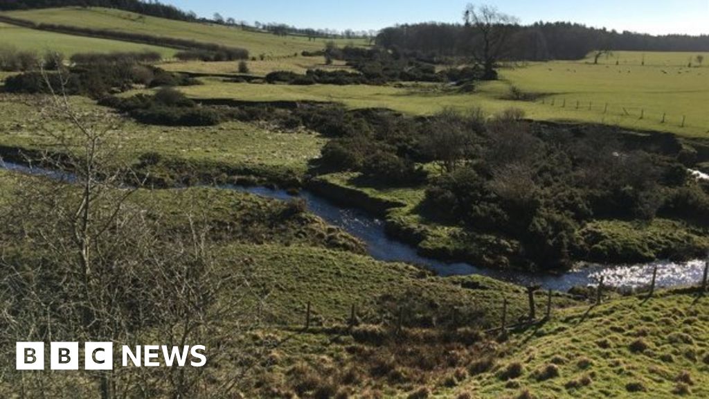 Wansbeck trees and shrubs to be sampled for CO2 storage