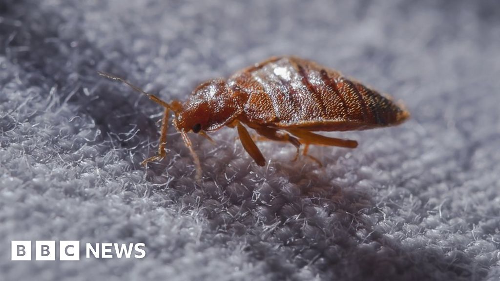 Company says it's built a better bug trap