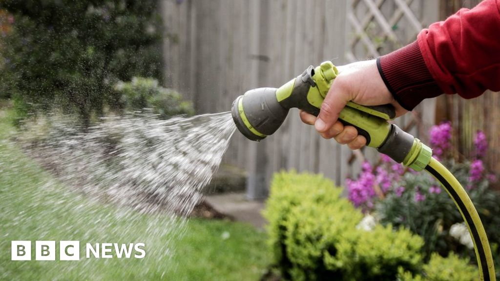 Hampshire and Isle of Wight hosepipe ban from 5 August BBC News