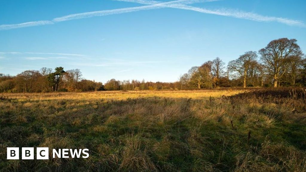 Plans for 160 Liverpool homes on greenfield land rejected BBC News