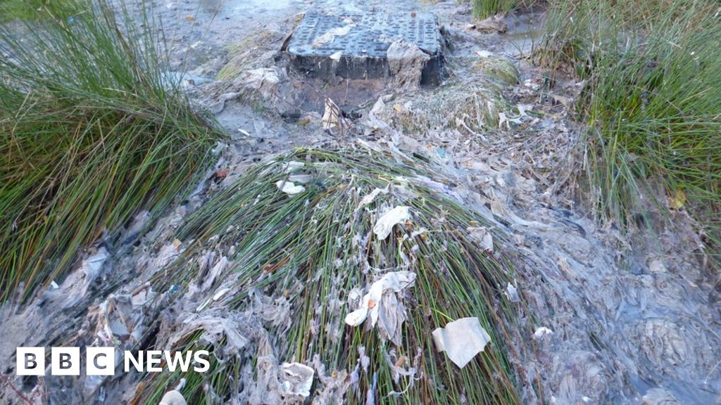 Severn Trent Water fined £500K for raw sewage spill BBC News