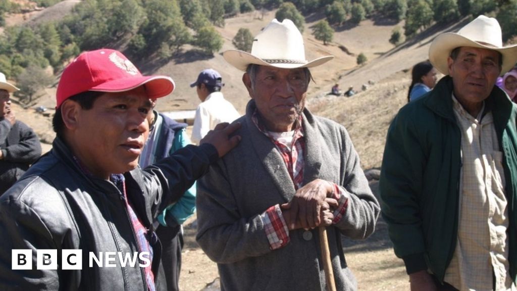 Mexican anti-logging activist Isidro Baldenegro killed - BBC News