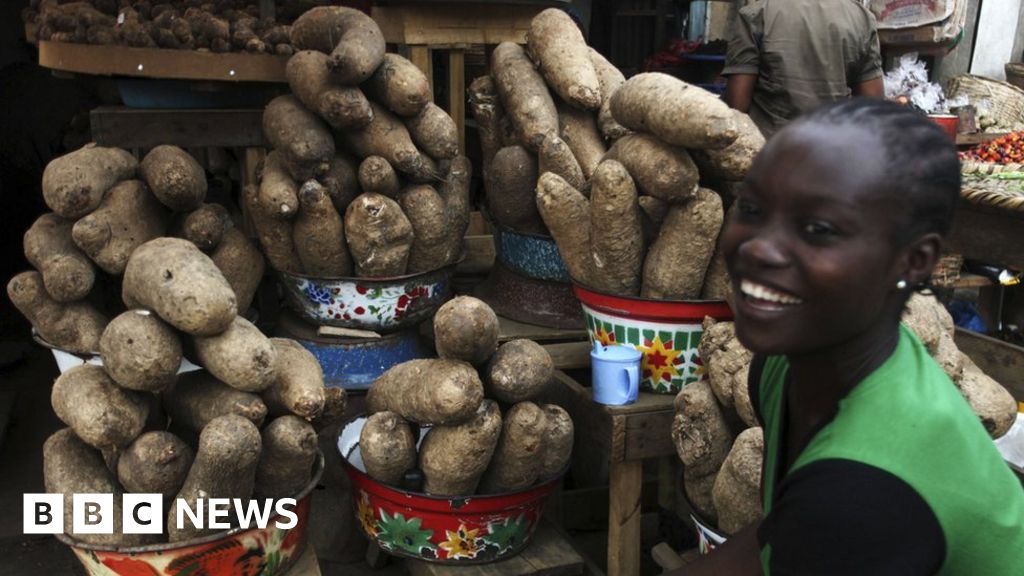 Can Nigeria's yams power a nation? BBC News