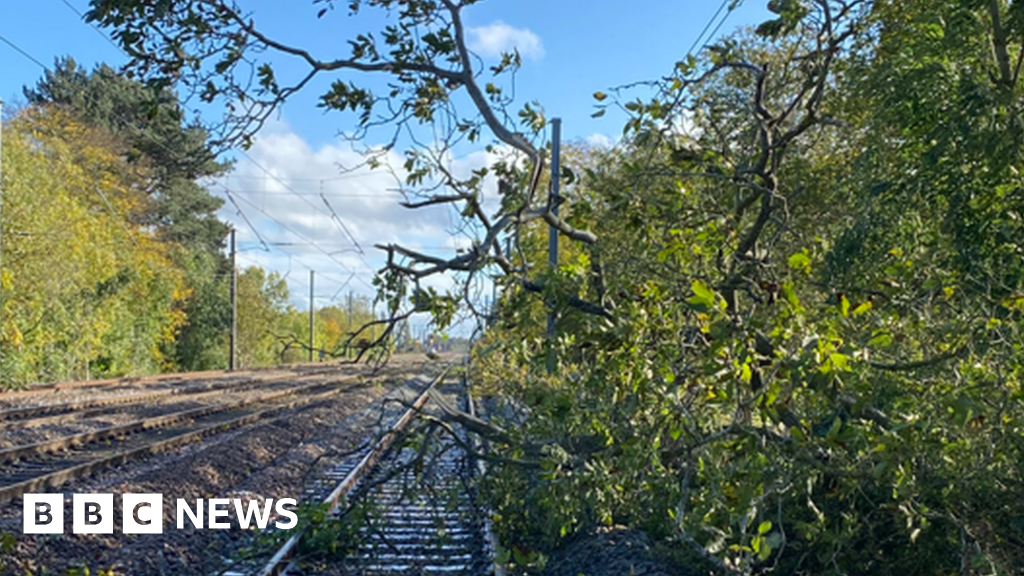 Strong wind damage closes rail lines and roads