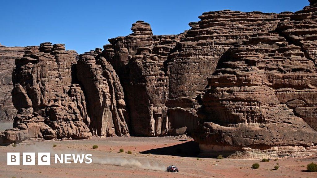 Saudi tribe challenges crown prince's plans for tech city - BBC News