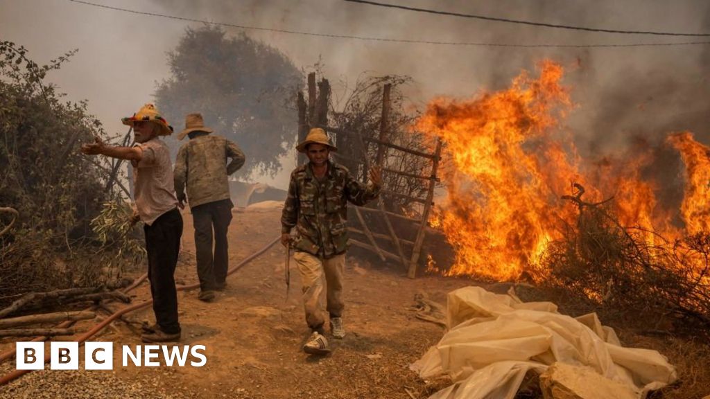 Morocco wildfires: Toxic smoke and raging blazes