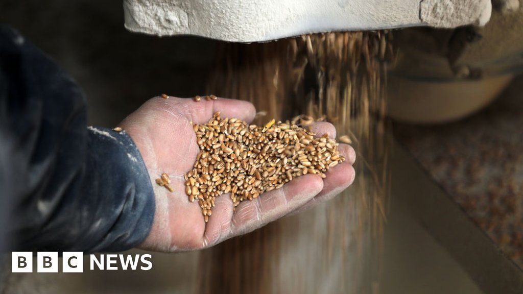 Ukraine War catastrophic For Global Food 