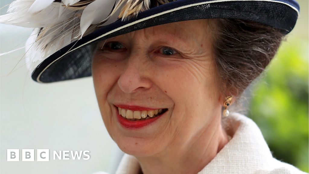 Princess Anne cancels visit to Africa after chest infection - BBC News