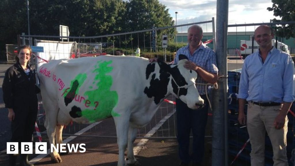 Farmers and cows in milk protest at Cheshire supermarket depot BBC News