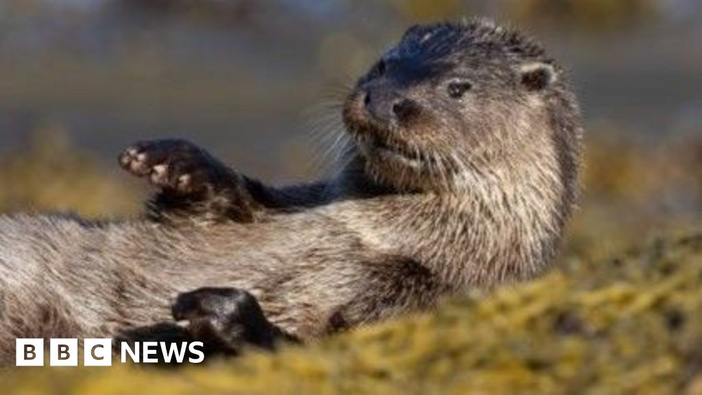 Your pictures of Scotland: Photographs from around the country