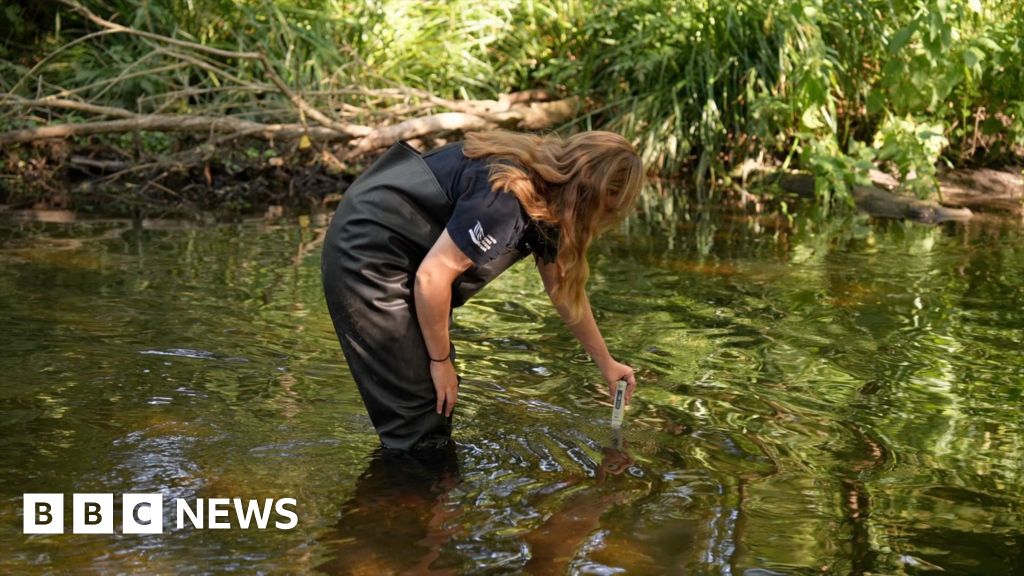 South east rivers hit by pollution as temperatures soar