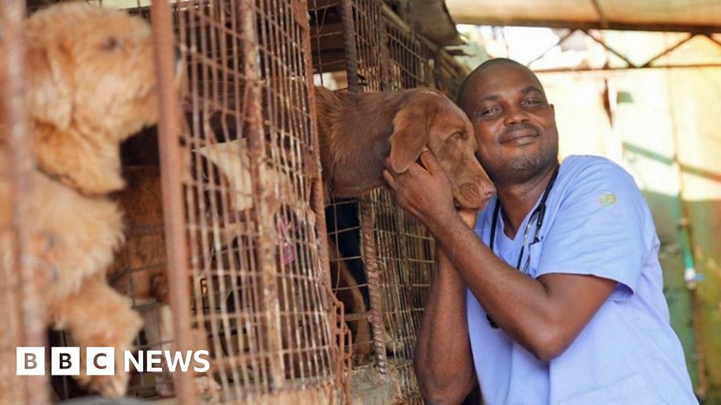 Heartbreak as cash-strapped Nigerians abandon their pets