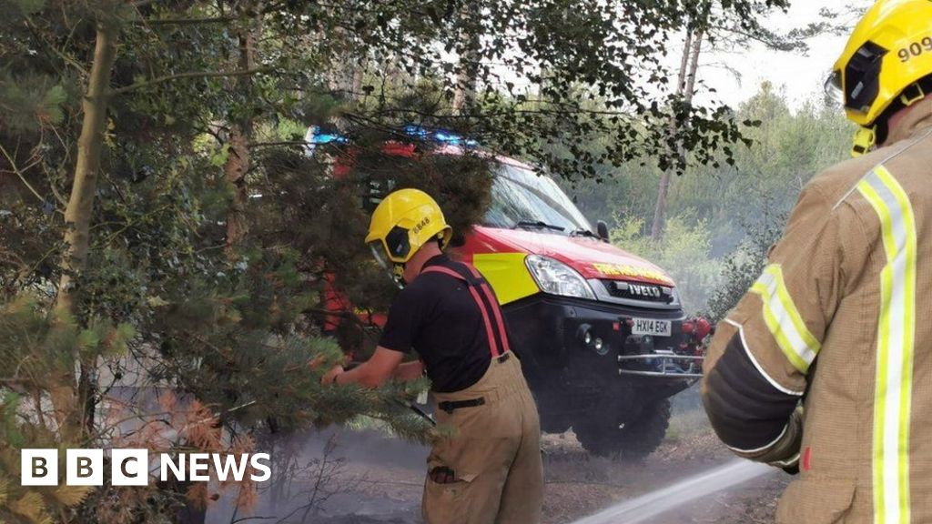 Dibden Enclosure: New Forest fire thought to be deliberate - BBC News