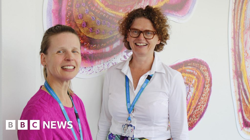 Bedfordshire Hospitals Artwork Aims To Improve Wellbeing - BBC News