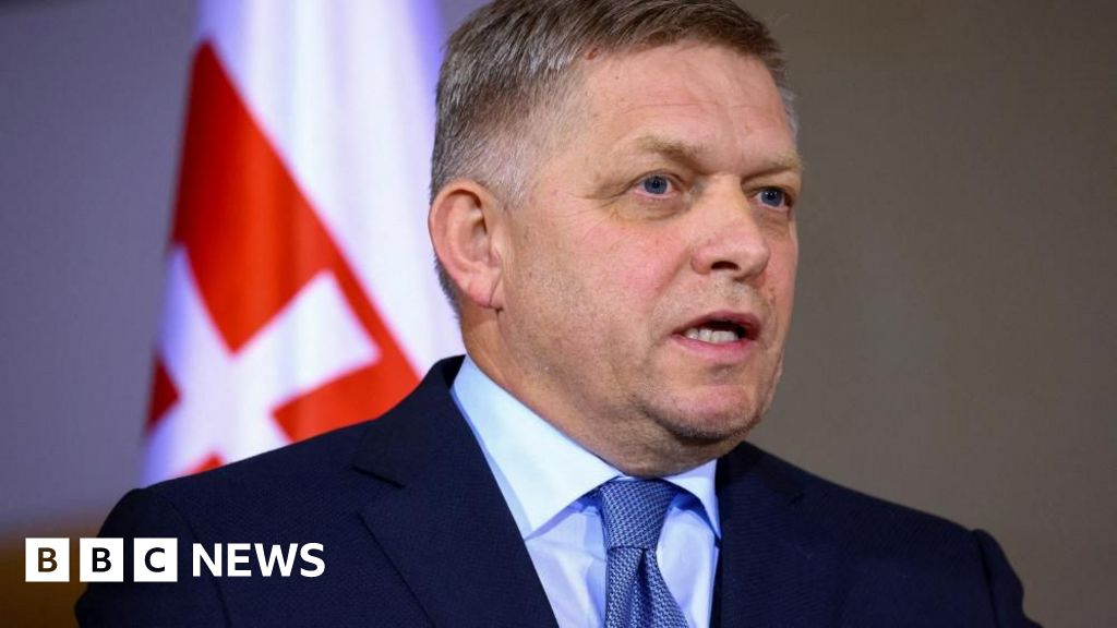 Robert Fico: A suspect accused of attempting to kill the Slovak Prime Minister