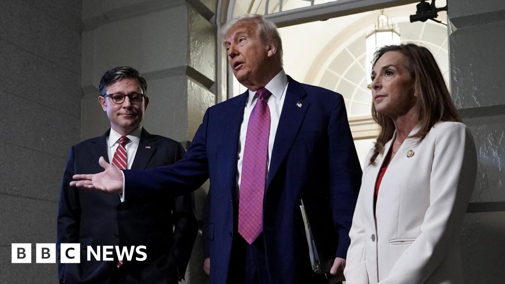 Trump pressures Republicans in Congress to back budget plan