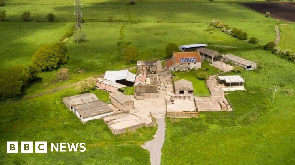 Former dairy farm could become peat research centre