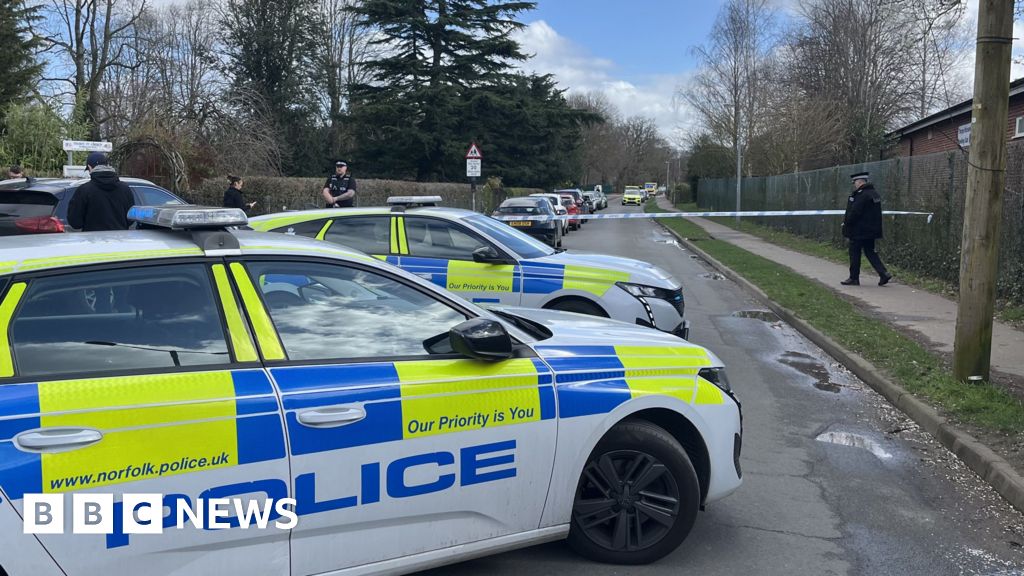 Boy charged over stabbing of teenage girl at Norfolk school