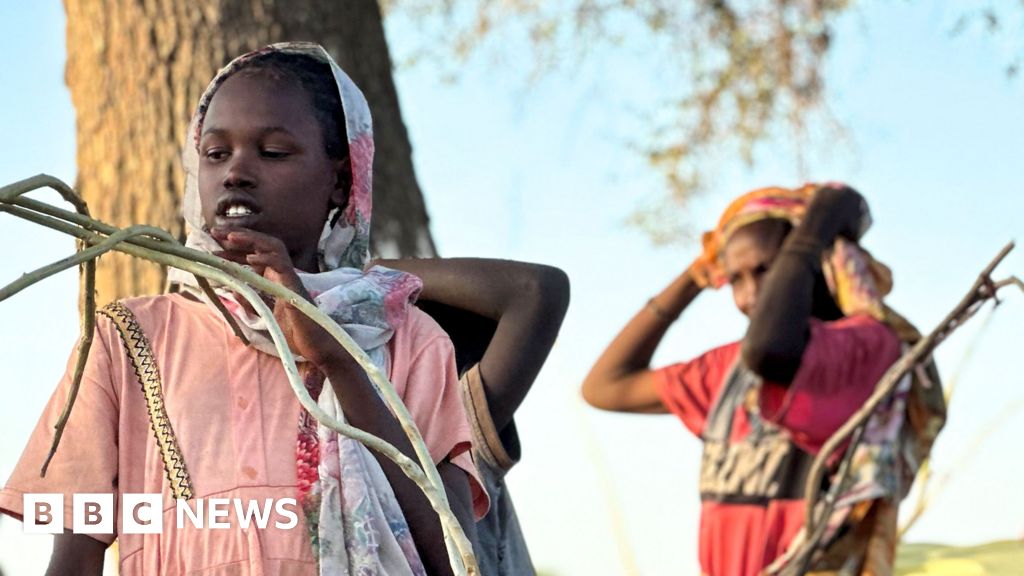 More than 60,000 flee Sudanese city after its capture by RSF militia, says UN