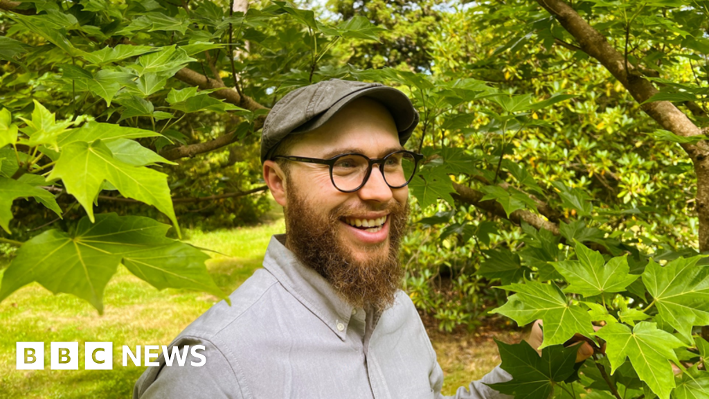 Westonbirt Arboretum tree expert says investigation offers hope for rare maple