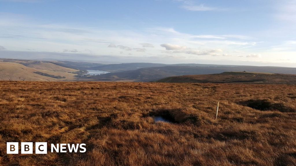 Platform — peatland in Derrynagran
