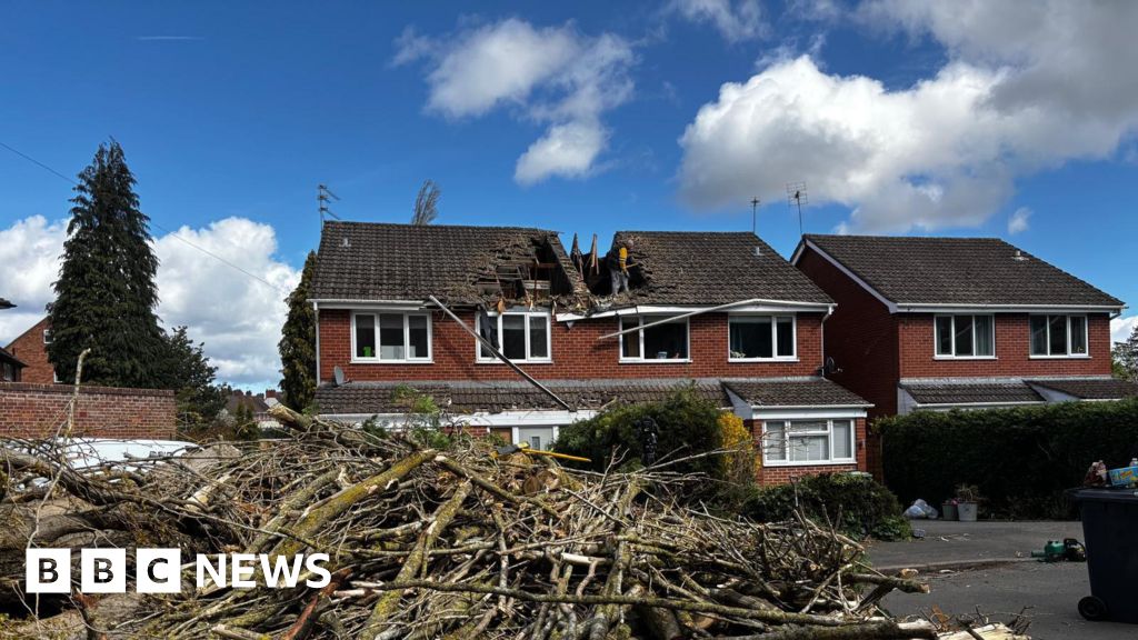 Families left homeless as tree falls into houses during Storm Dave's winds