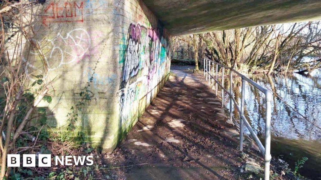 Teen rapists spared jail partly because of intellectual limitations, sentencing remarks reveal