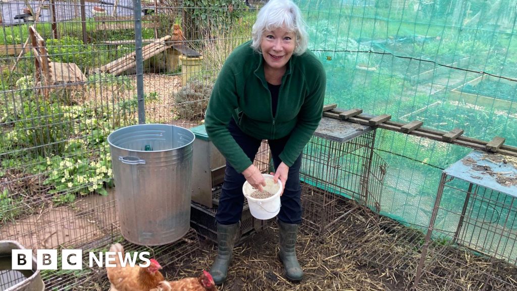 Exeter allotment users urge council to scrap planned price hike BBC News