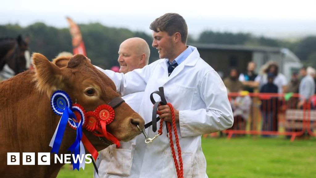 bbc.co.uk - Southern Agricultural Show set to highlight farming industry - BBC News