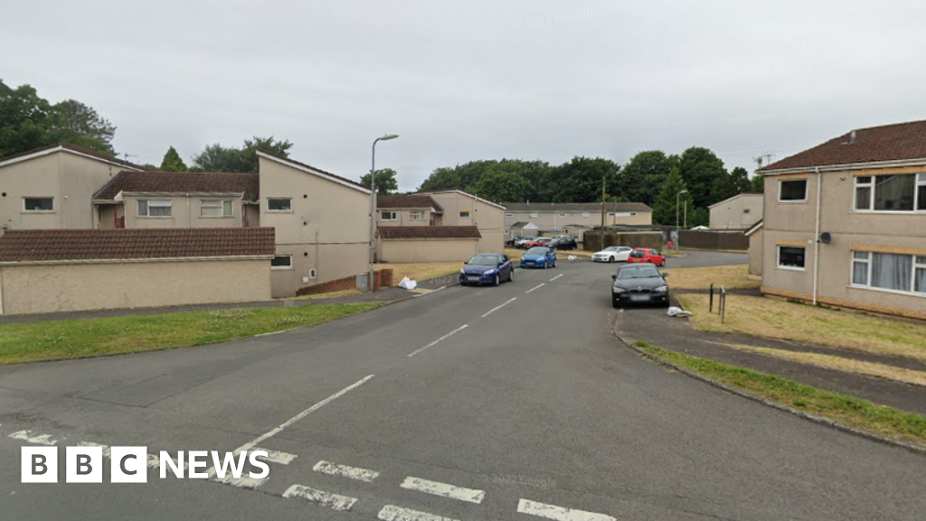 Mechanic, 27, dies after being crushed under car