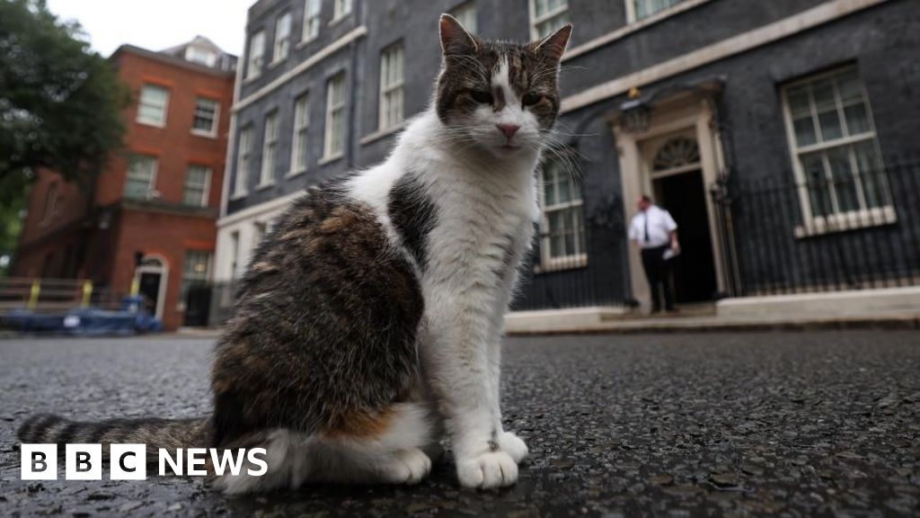 Larry marks 15 years as No 10's chief mouser