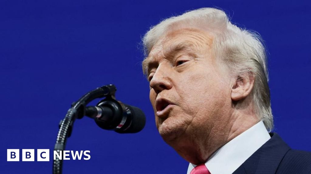 Trump signs bill ordering US justice department to release Epstein files