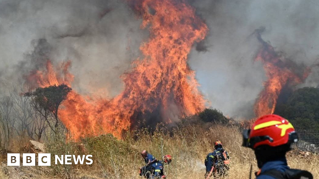 bbc.co.uk - Charles Heslett - Bradford researchers to use robotic dogs and AI in wildfire trial - BBC News