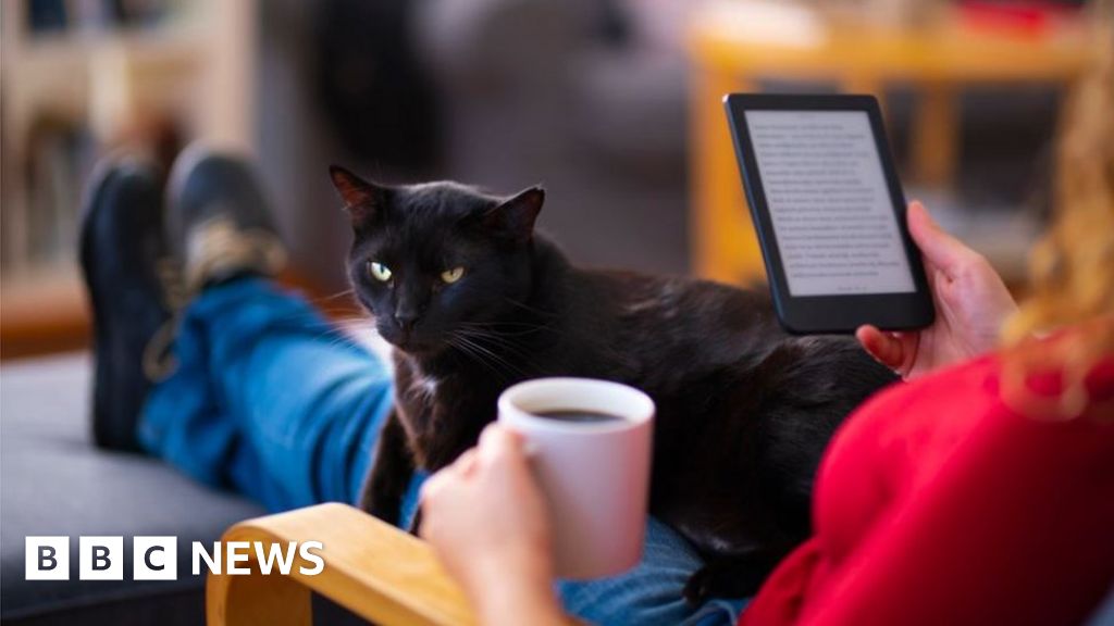 Coronavirus Libraries See Surge In E Book Borrowing During Lockdown Bbc News