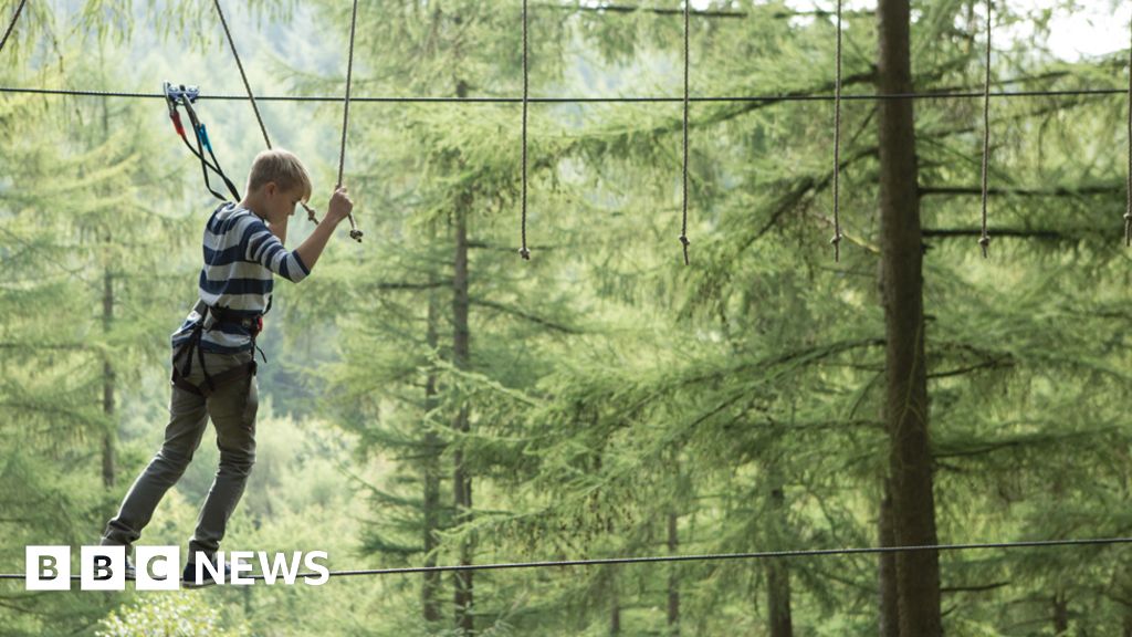 Go Ape Apology After Man Hurt In Fall In Berkshire c News