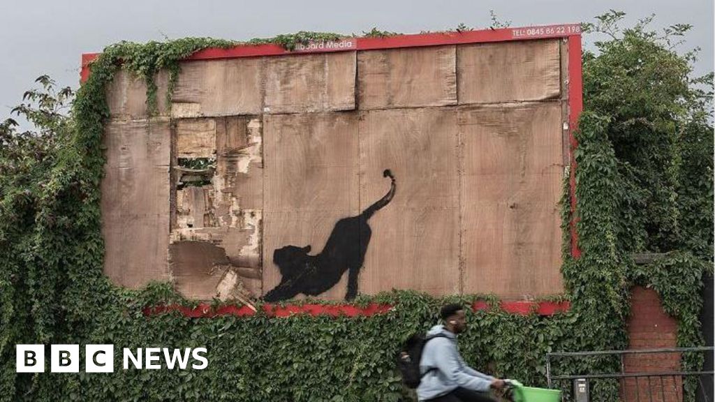 Banksy: New London artwork of stretching cat to be taken down